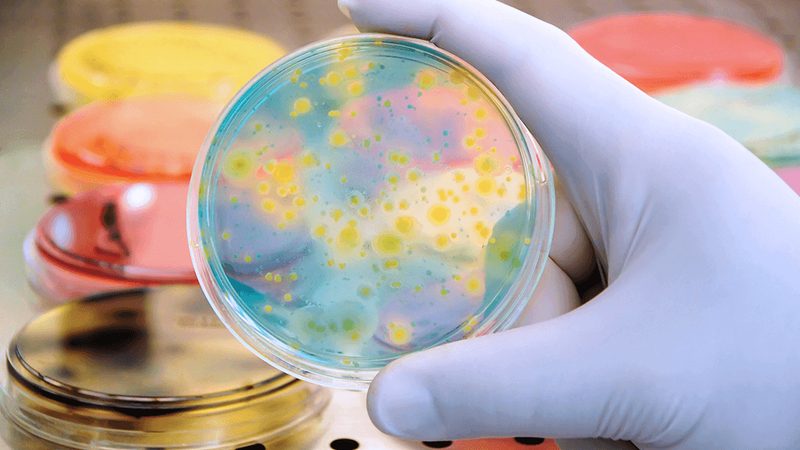 解码生物科技：揭秘应用领域排名前十的公司**