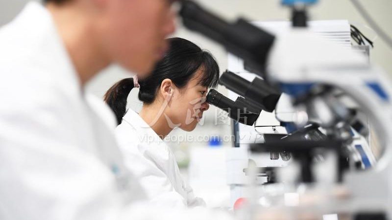 广州生物制品与化学药品厂家：差异与选择要点