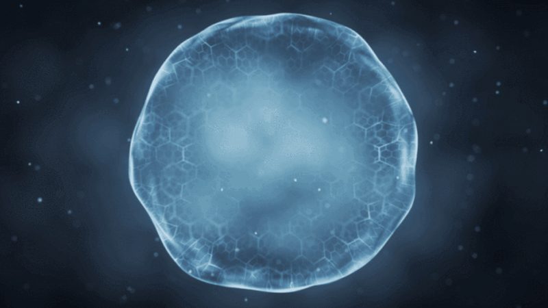 生物酶洗衣液定制，揭秘其背后的科技力量**