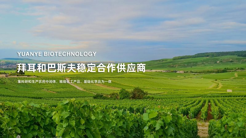 生物医药园区招商：如何规避潜在风险，把握发展机遇