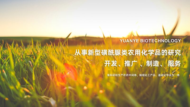 PCR检测与抗原检测：时间差异背后的科学解析