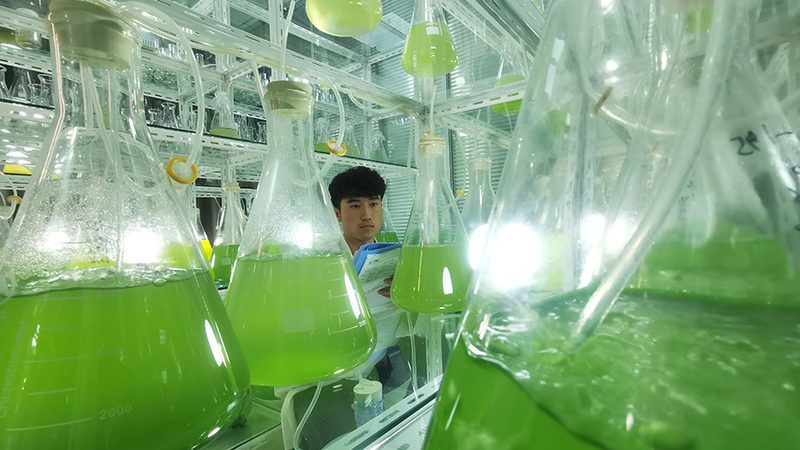 生物制品批发合同范本：合规要点与风险防范